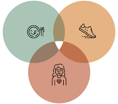 Diagram of movement, nutrition, and rest as three interconnected pillars supporting a balanced daily lifestyle